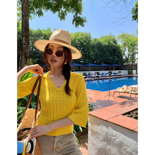 龍喜儿 羊毛针织衫女复古V领喇叭袖简约时尚短款条纹上衣B189