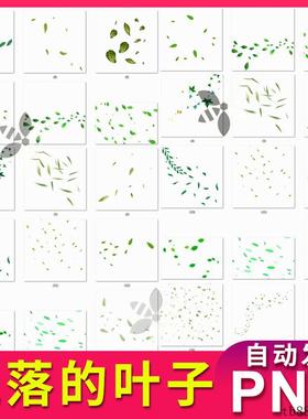 飘落的叶子漂浮的绿色树叶素材插图 png透明背景 无需抠图