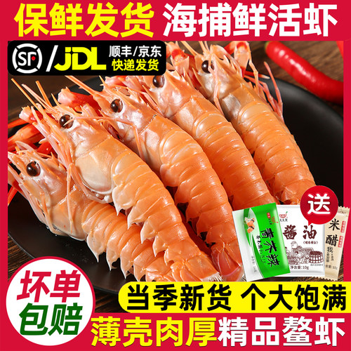 低温船冻精品大号新货深海鳌虾