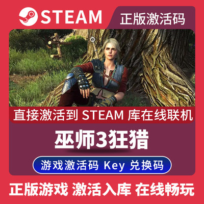 steam正版巫师3狂猎激活码