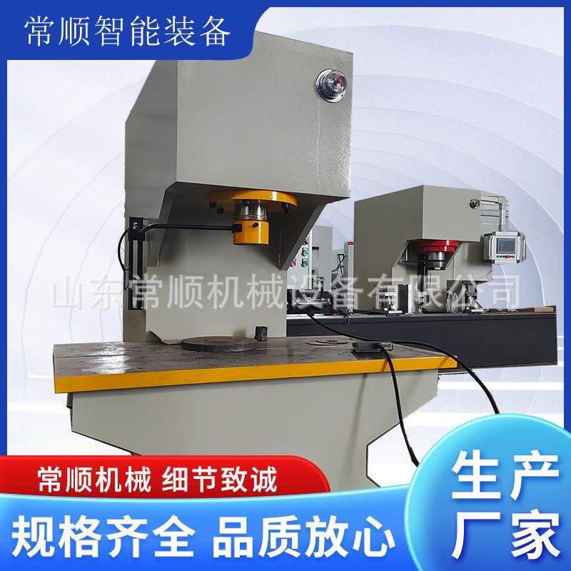 100吨单柱液压压力机压装轴承用63吨单臂油压型，可定制自动校直,五金/工具,其他机械五金,淘宝优惠券,粉丝福利购,淘宝优惠卷