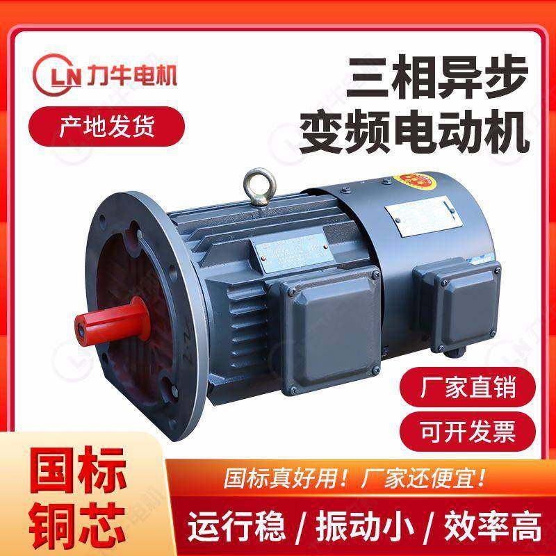 现货YVF2系列铸铁机壳变频调速电机节能三相异步电动机高效,电子元器件市场,电机/马达,淘宝优惠券,粉丝福利购,淘宝优惠卷
