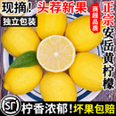 四川安岳黄柠檬新鲜皮薄一级当季 香水柠檬奶茶店专用10斤商用水果