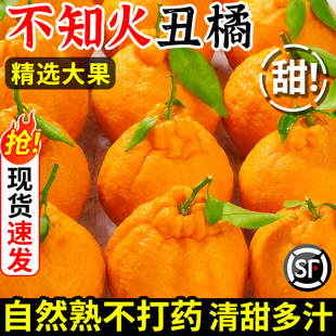 四川不知火丑橘水果新鲜整箱10包邮斤当季桔子耙耙粑粑斤丑柑橘子