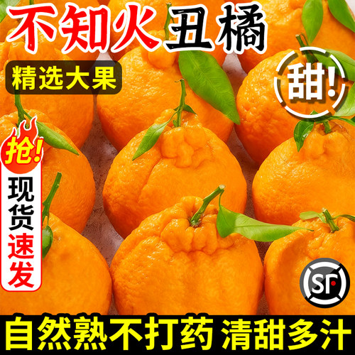 四川不知火丑橘水果新鲜整箱10包邮斤当季桔子耙耙粑粑斤丑柑橘子