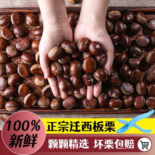 正宗迁西板栗2025年新货优惠促销