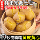 正宗甘肃定西土豆沙面黄心马铃薯蔬菜洋芋旱沙地种植新鲜现挖9斤