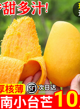 海南小台农芒果10斤新鲜小台芒当季特产水果现摘芒果大果整箱包邮