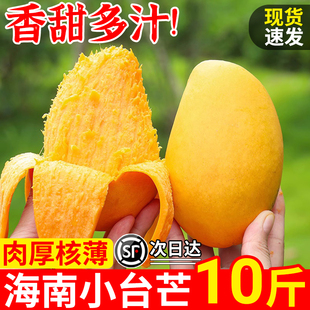 海南小台农芒果10斤新鲜小台芒当季特产水果现摘芒果大果整箱包邮