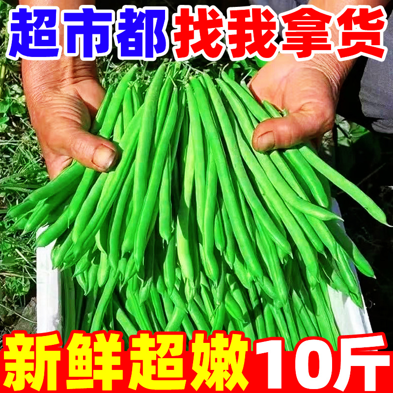 云南新鲜四季豆10斤现摘芸豆角长扁豆角农家自种油豆角豌豆荷兰豆