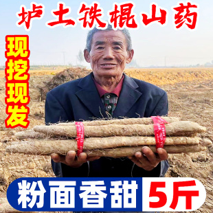 正宗河南垆土铁棍山药5斤新鲜蔬菜小白嘴怀淮山药官方旗舰店批发9