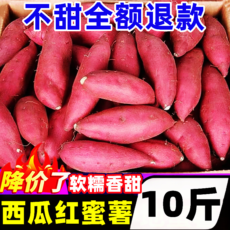 【红薯好评榜】官方专卖店