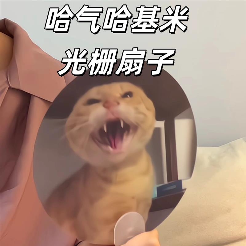 耄耋小猫光栅变幻手持清凉扇