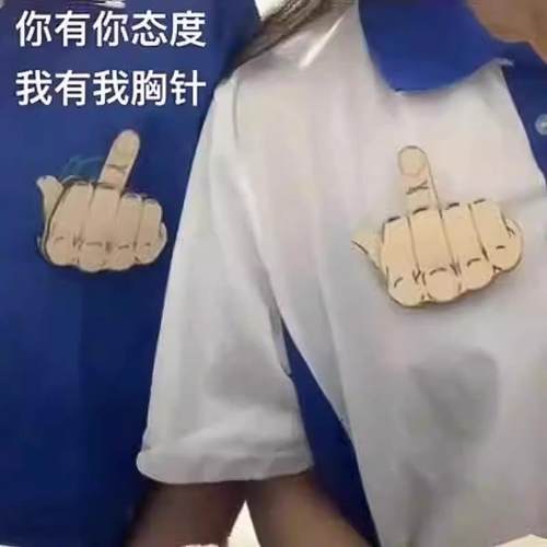 胸针diy竖中指生日礼物玩具