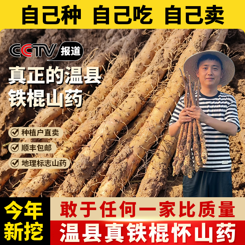 5斤装垆土铁棍怀山药【免费试吃