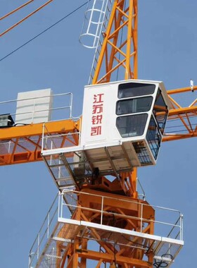 动臂塔式塔吊QTZ100塔式起重机平头尖头 塔机建筑起重机 6013-8吨