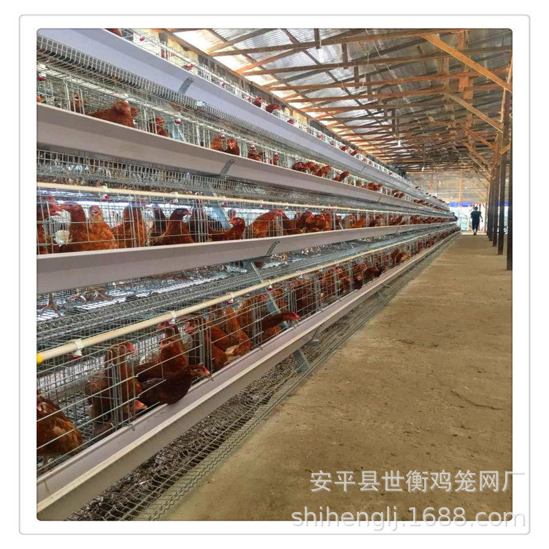 厂家生产做框架全自动肉鸡笼小层叠式蛋鸡笼全套养殖设备,畜牧/养殖物资,养殖笼具/鸡笼/兔笼/鸽笼,淘宝优惠券,粉丝福利购,淘宝优惠卷