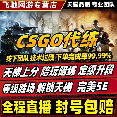 CSGO代练CS2代打完美5E天梯上分官匹陪玩陪练定级赛B5掉分过新手