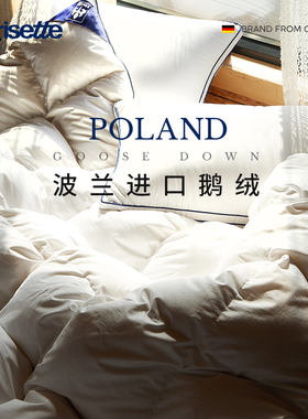 德国irisette波兰95白鹅绒被冬被保暖羽绒被子被芯全棉抗菌