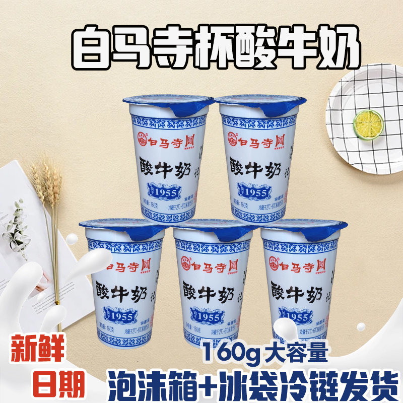 洛阳白马寺酸奶经典杯酸+无蔗糖160g杯装生牛乳风味酸牛奶早餐奶
