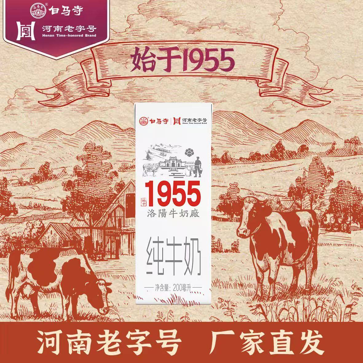 白马寺纯牛奶3.2g优质乳蛋白学生早餐无添加全脂奶礼盒装新日期图片
