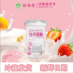 洛阳白马寺酸奶新款 生牛乳风味酸牛奶早餐奶 牡丹宫酿180g杯装