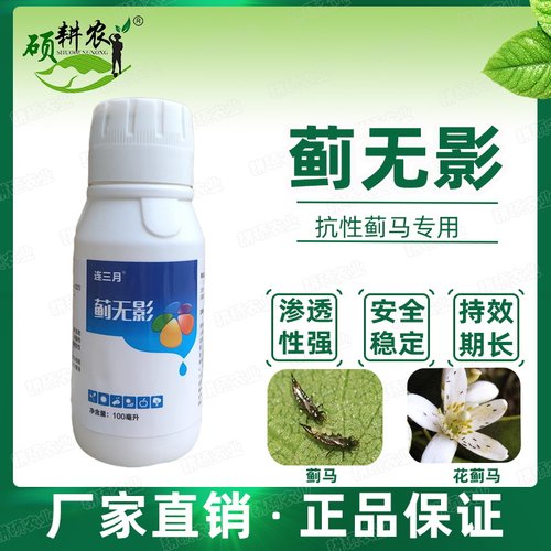 蓟无影蓟马专用助剂效果好黄蓟马黑蓟马花蓟马蔬菜果树等大田作物