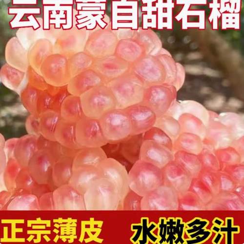 云南蒙自石榴当季水果新鲜薄皮软籽多汁酸甜石榴现摘现发