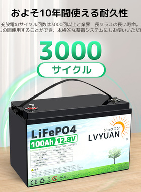 LVYUAN 12V/24磷酸铁锂电池5/10度电 铅改锂 25V 12V100AH/200AH