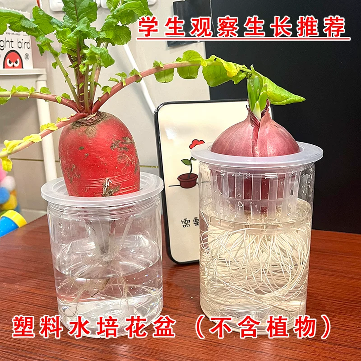 种植篮塑料水培洋葱器皿塑料透明圆柱形花盆水土豆多肉红薯种植瓶