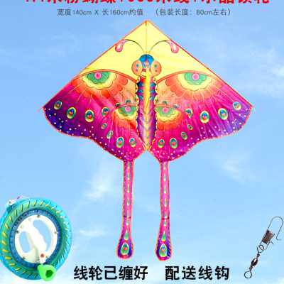 潍坊风筝新款儿童初学者卡通三角大蝴蝶微风易飞成人大型传统特色