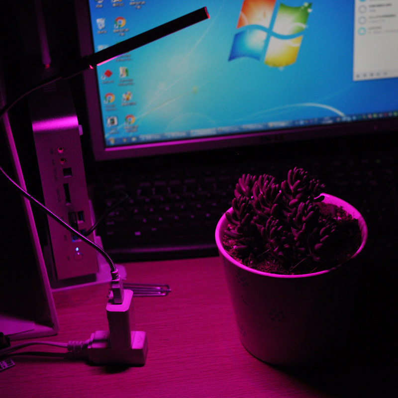 USB led植物灯生长灯 室内阳光补光灯 花卉盆栽灯多肉台灯 