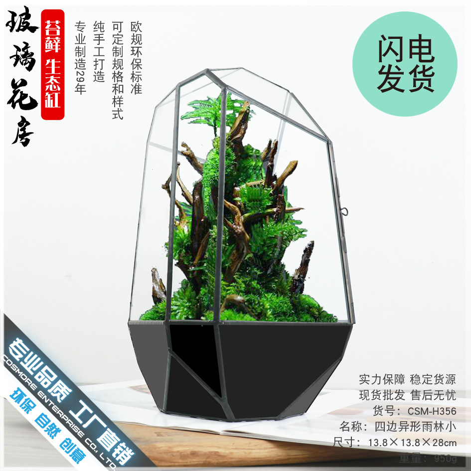 雨林生态缸苔藓微缩景观几何玻璃