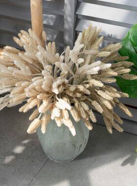 MW850075头狗尾草INS仿真花厂家装饰W跨束境婚庆风假花M85007