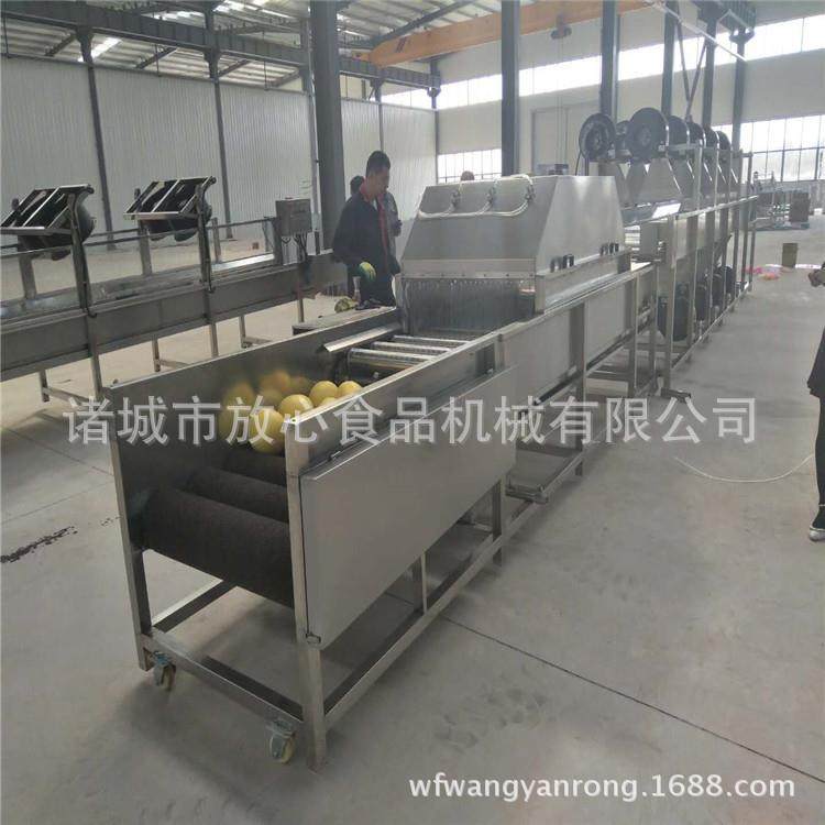 苹果打蜡机水果清洗打蜡机 厂家定制水果抛光机 连续式柚子打蜡机,畜牧/养殖物资,养殖恒温箱/恒温设备,淘宝优惠券,粉丝福利购,淘宝优惠卷