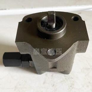 摆线针电轮减速机油泵阀 动齿轮小型油泵可定制 SRB B摆线油泵