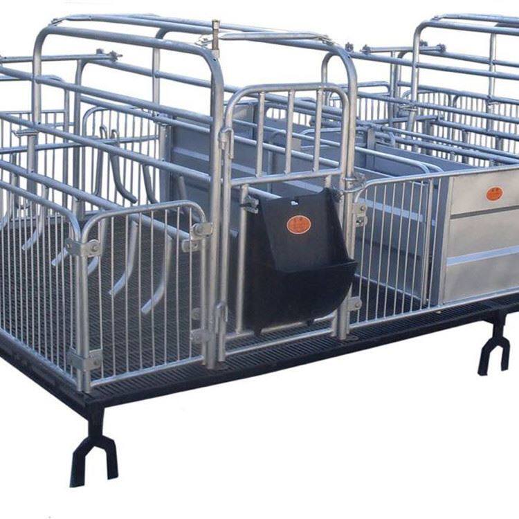 养猪设备母猪产床 养殖母猪产床 双体位母猪产床
