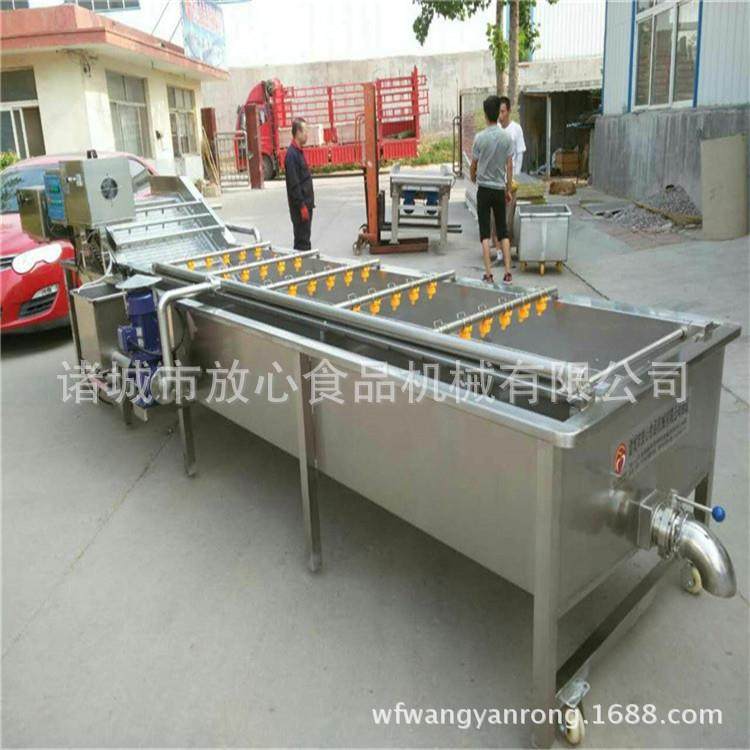 大型盐渍鱼清洗机 盐鱼脱盐机厂家 全自动脱盐机 sus304不上锈,畜牧/养殖物资,养殖恒温箱/恒温设备,淘宝优惠券,粉丝福利购,淘宝优惠卷