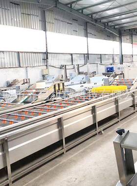 喷污淋清洗水果脏洗去皮毛去发机气泡银耳清草菇蔬菜KJZ沥水清洗