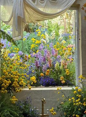 莫窗花园风装饰仿真花之AL-1341飞燕布草置假花奈商场拍照门头窗