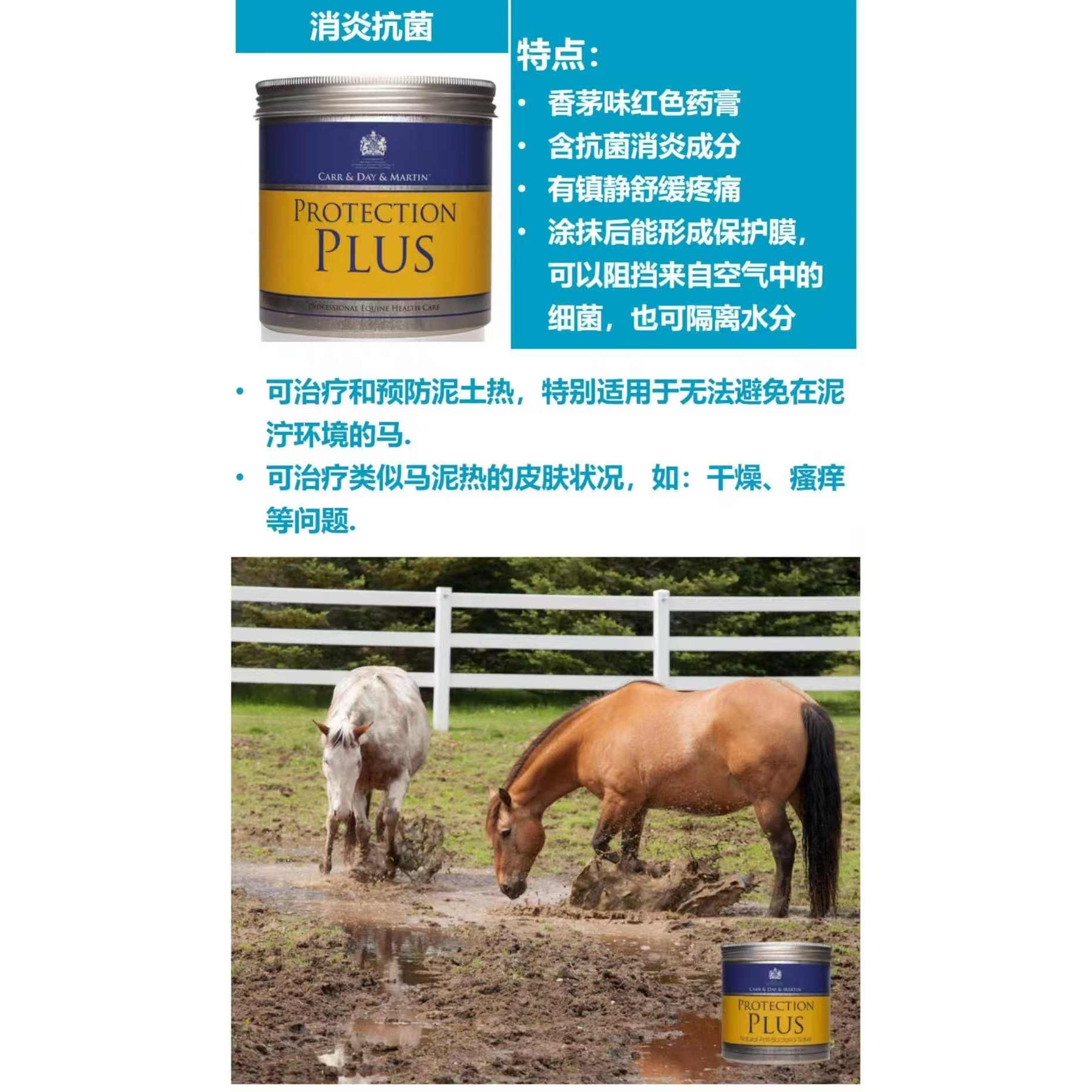 CDM英国原装进口马匹皮肤抗菌药膏马泥热治疗预防保护药膏马匹健