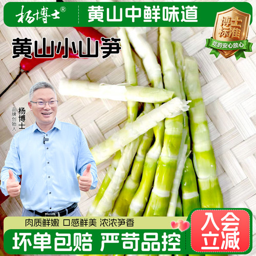 杨博士小笋尖皖南黄山特产清水竹笋小山笋深山新鲜食材