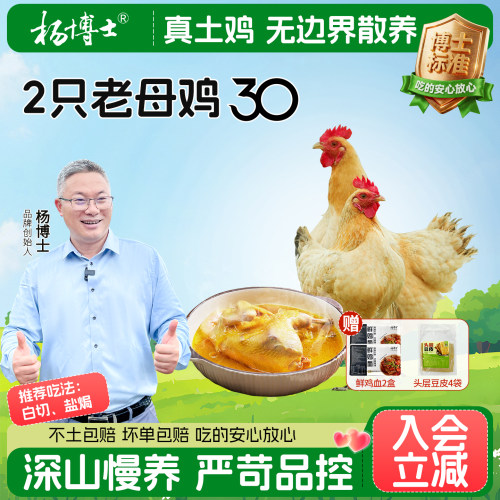 杨博士皖南老母鸡30型深山正宗散养鸡月子鸡母鸡炖汤食材跑山鸡