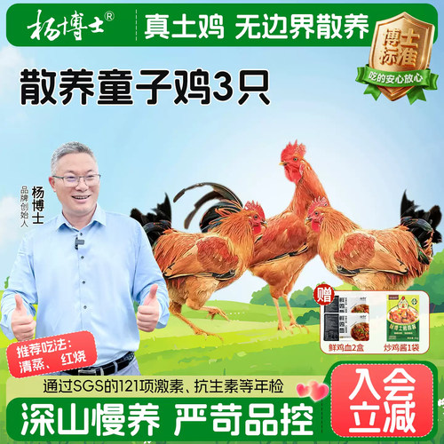 杨博士皖南深山散养童子鸡