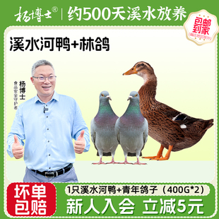 杨博士皖南溪水河鸭老鸭子生鲜麻鸭散养鸽子组合炖汤套餐