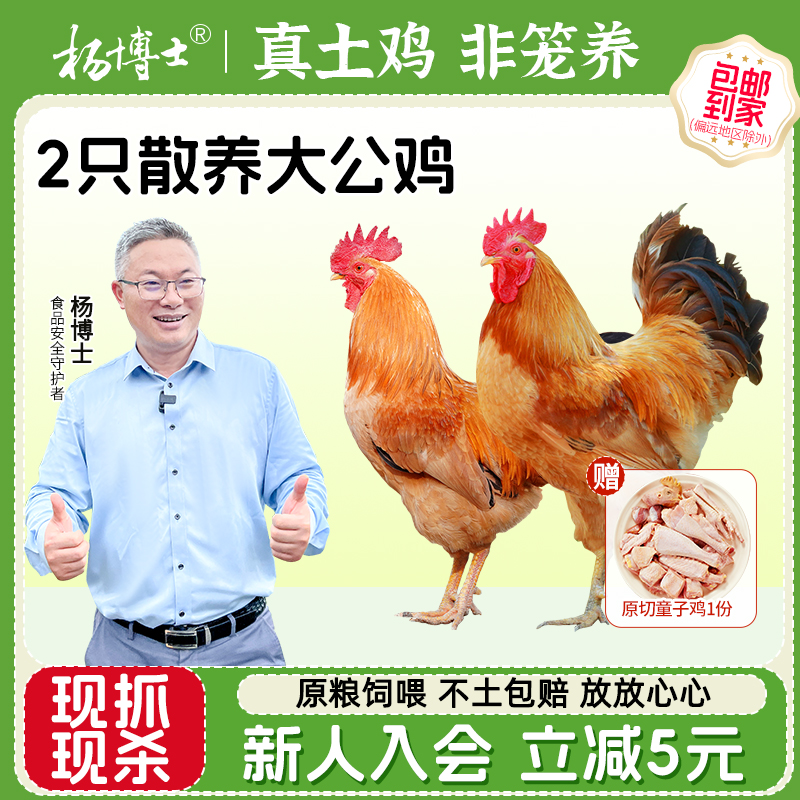 杨博士大公鸡土鸡农家深山散养跑山走地鸡新鲜现杀鸡整只生鲜笨鸡