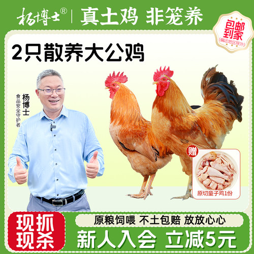 杨博士大公鸡土鸡农家深山散养跑山走地鸡新鲜现杀鸡整只生鲜笨鸡