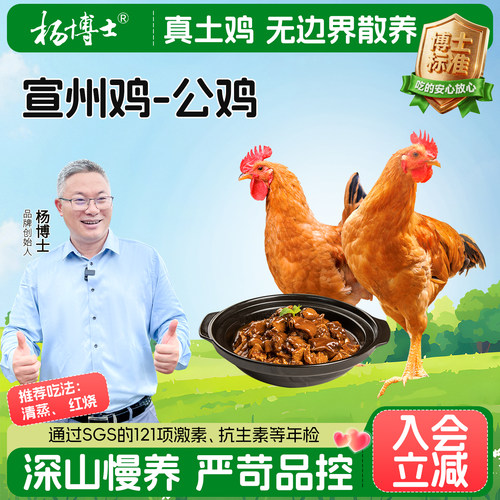 杨博士皖南宣州鸡公鸡