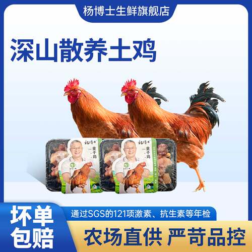 杨博士皖南深山散养童子鸡