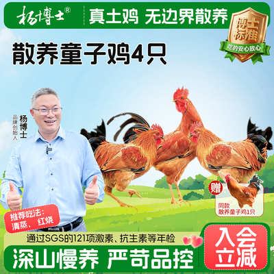 杨博士皖南农家散养土鸡